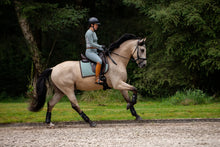 Load image into Gallery viewer, Our new Cotton Dressage Saddle Pad
