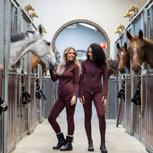 Load image into Gallery viewer, Softshell Silhouette Breeches

