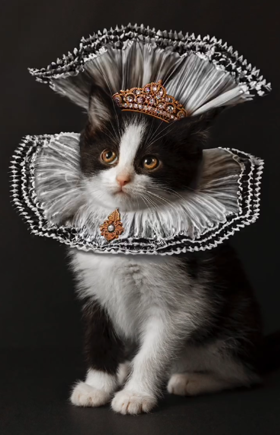 The Royals - Queen Cat